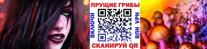 Галлюциногенные грибы Cubensis  гидра ТОР  Гагарин 