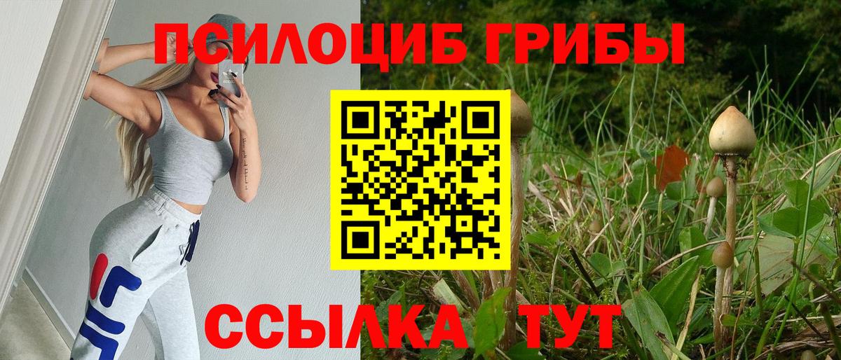Галлюциногенные грибы MAGIC MUSHROOMS  Псилоцибиновые грибы ЛСД  Гагарин 