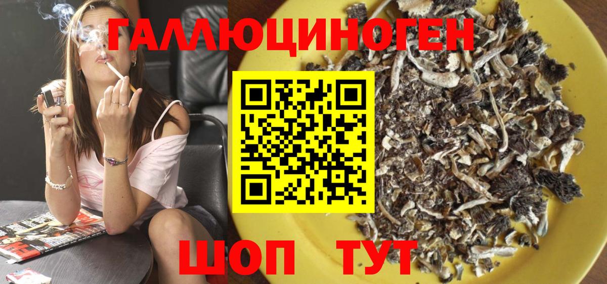 Галлюциногенные грибы Psilocybine cubensis  Псилоцибиновые грибы MAGIC MUSHROOMS  Вход с VPN  Гагарин 